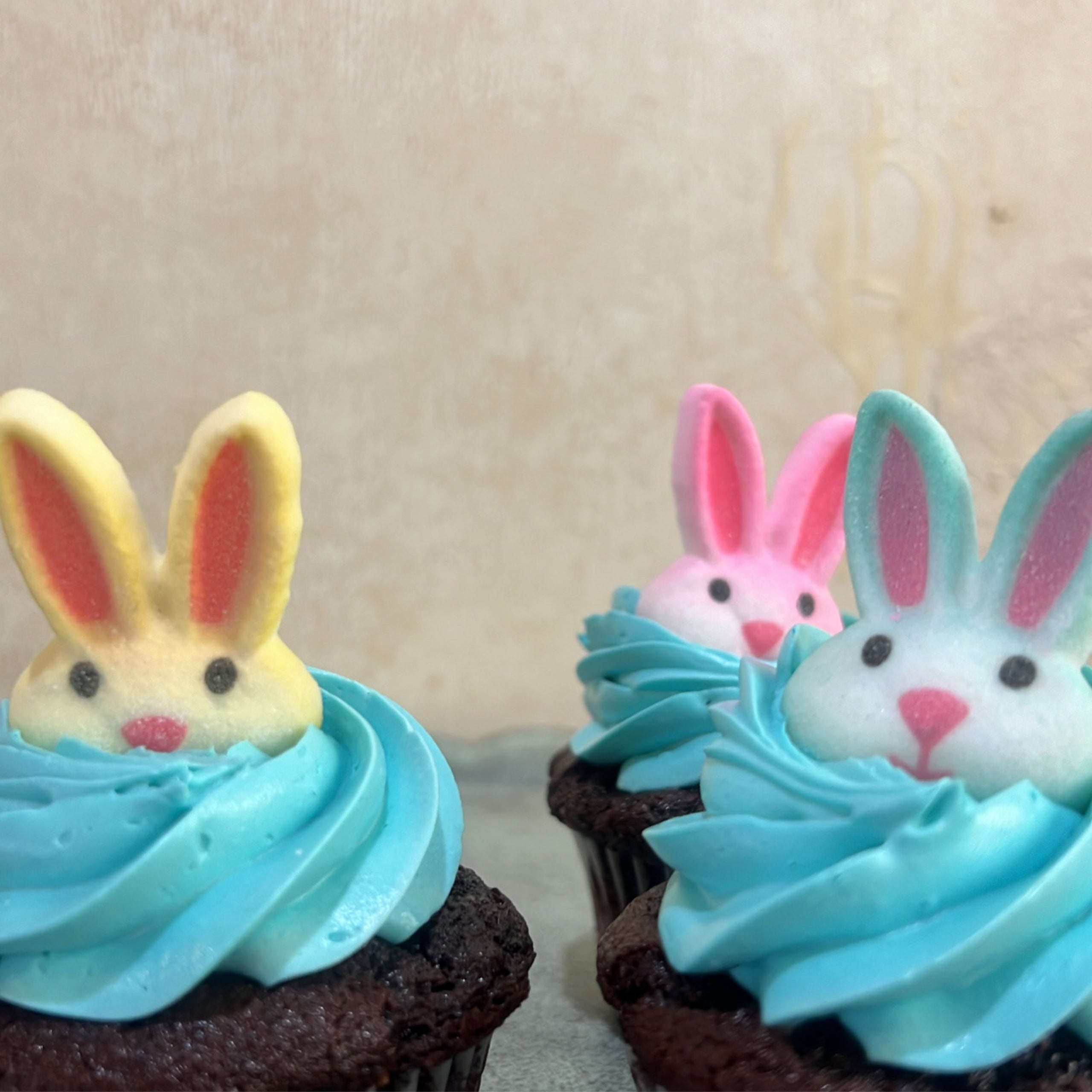 Chocolate Bunny Cupcake | Lenox Cupcakes